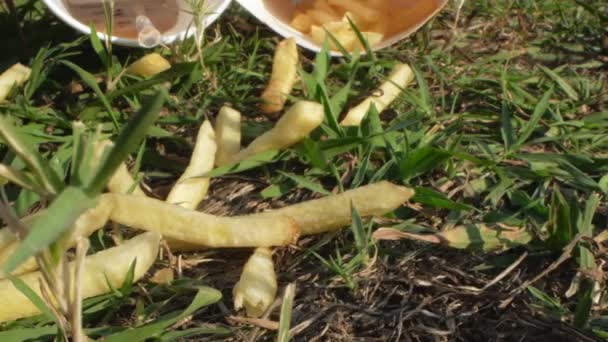 Close-up. de resten van een picknick, een papieren beker cola en frietjes op het gras — Stockvideo