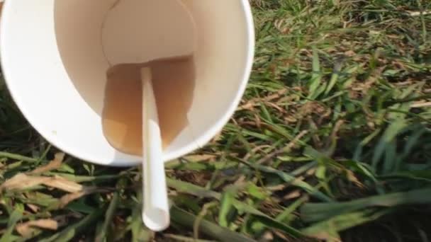 Close-up. de resten van een picknick, een papieren beker cola en frietjes op het gras — Stockvideo
