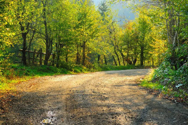 Landstraße Herbst — Stockfoto