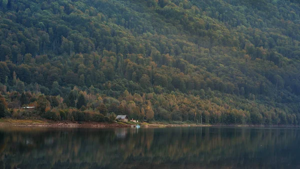 Scène Automne Reflet Forestier Dans Eau Automne — Photo