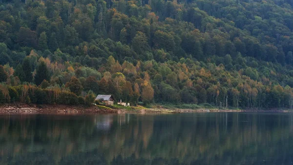 Herfst Scène Bos Reflectie Het Water Herfst — Stockfoto