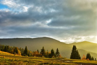 Dağ ormanı üzerinde altın gün batımı