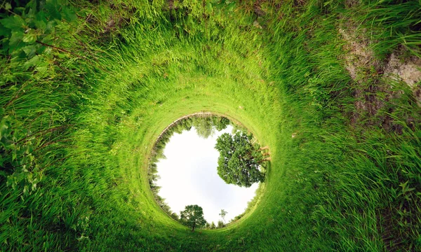 Stereographic Panoramic Projection Green Field Trees Summer 360 Degree Panorama — Stock Photo, Image