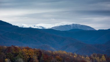 Arka planda sarı orman ve dağ ile Sonbahar manzara sahnesi