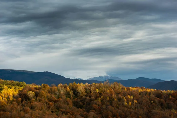 Jesienna scena krajobrazowy z żółtym lasem i górą w tle — Zdjęcie stockowe