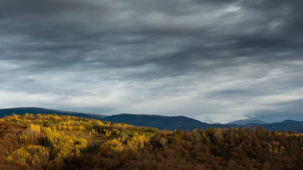 ฉากภูมิทัศน์ฤดูใบไม้ร่วงที่มีป่าสีเหลืองและภูเขาในพื้นหลัง — ภาพถ่ายสต็อก