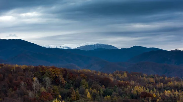 Cenário paisagístico de outono com floresta amarela e montanha ao fundo — Fotografia de Stock