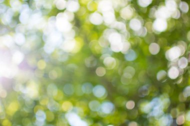 Odak arka plan dışında, parlak bokeh