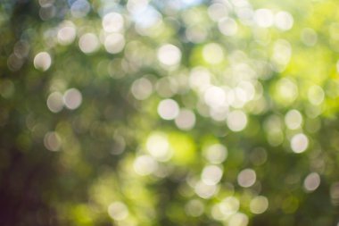 Odak arka plan dışında, parlak bokeh