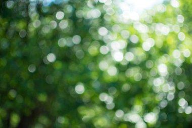 Odak arka plan dışında, parlak bokeh