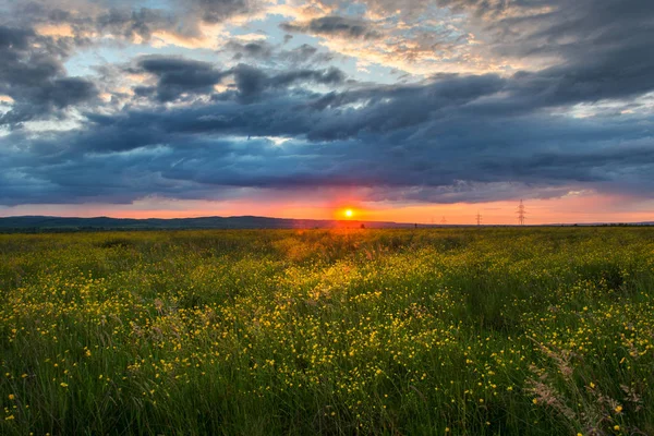 Величественный закат ранней осенью, красочная трава — стоковое фото