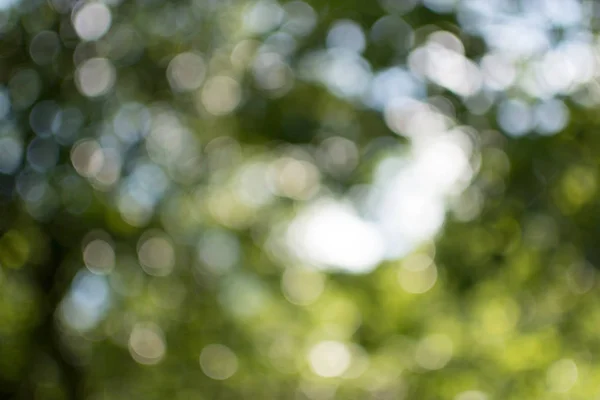 Odak arka plan dışında, parlak bokeh