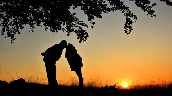 Silhueta casal beijando sob uma árvore ao pôr do sol — Fotografia de Stock