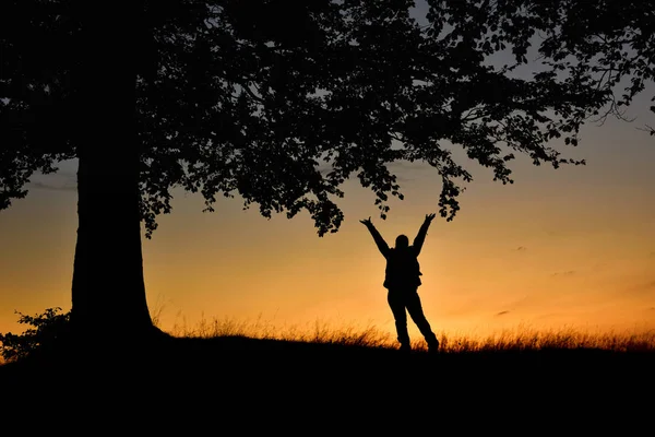 Woman silhouette raising hands under a tree at sunset — ストック写真