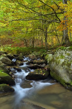 Dağlarda şelale, ormanlarda sonbahar manzarası