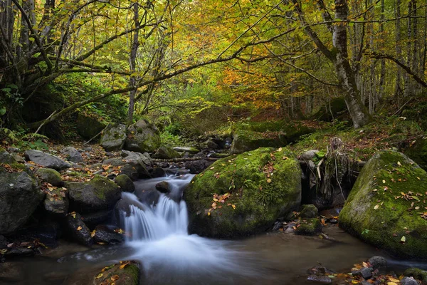 Wodospad w górach, jesienny krajobraz w głębokim lesie — Zdjęcie stockowe