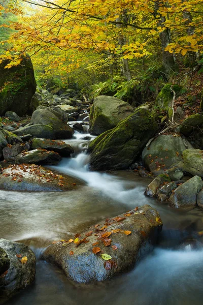 Wasserfall fließt durch Felsen in einem tiefen Wald, herbstliche Landschaft — Stockfoto