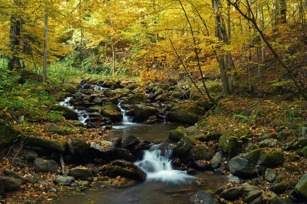 Vodopád v horách, podzimní krajina v hlubokém lese — Stock fotografie