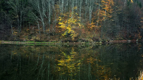 Odbicie drzewa w jeziorze, jesienny krajobraz — Zdjęcie stockowe