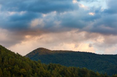 Gün batımında karanlık orman