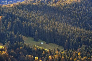 Sonbaharda küçük bir koyun ağılının olduğu ormanın havadan görünüşü