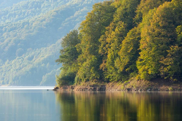 Осенняя Сцена Отражение Леса Воде Осенью — стоковое фото