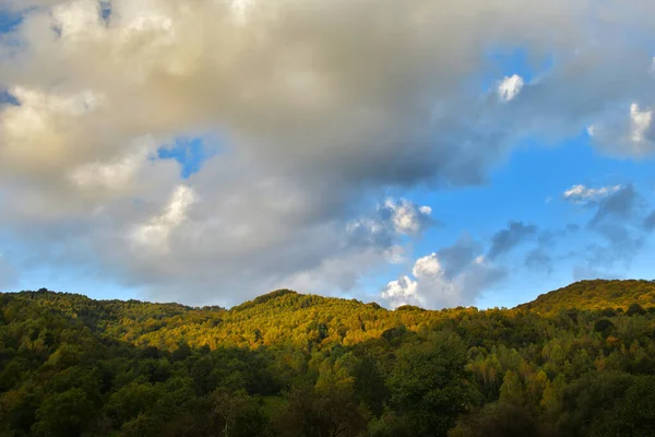 Floresta Luz Pôr Sol Cores Brilhantes — Fotografia de Stock