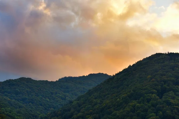 Foresta Oscura Nella Luce Del Tramonto — Foto Stock