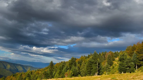 Höstlandskap Mörka Stormmoln Ovanför Rostig Skog — Stockfoto