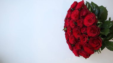 Açık arkaplanda kırmızı güller.