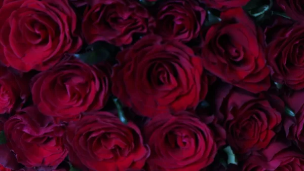 赤いバラの花束を背景に — ストック写真
