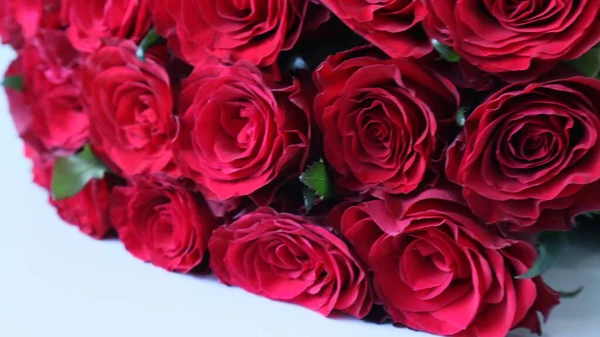 Bouquet Roses Rouges Sur Fond Clair — Photo