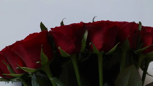 Bouquet Rose Rosse Sfondo Chiaro — Foto Stock