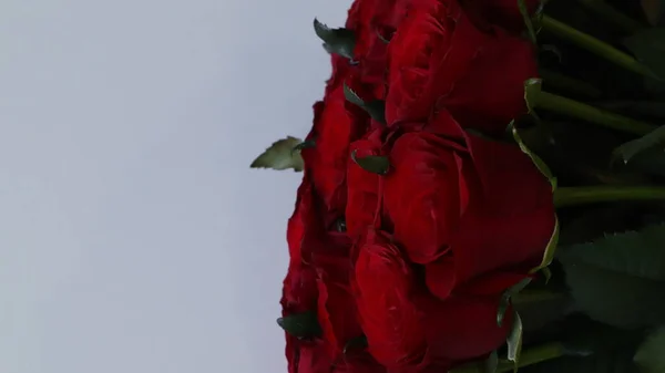 Strauß Roter Rosen Auf Hellem Hintergrund — Stockfoto