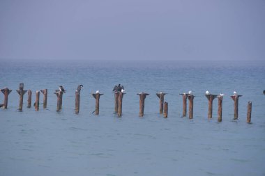 Sakin deniz, küçük dalgalar, berrak ve şeffaf su, kıyıya yakın küçük kum