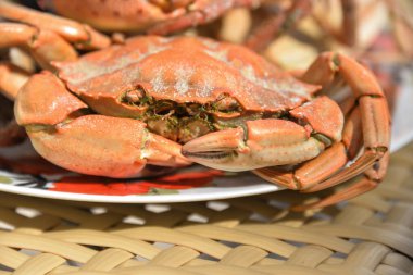 Deniz yaratığı, altı ayaklı ve kıskacı olan bir yengeçtir.