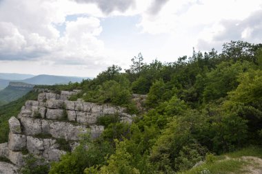 Büyük, güzel, beyaz bir bulut gün boyunca yeşil bir tarlanın üzerinde asılı duruyor.