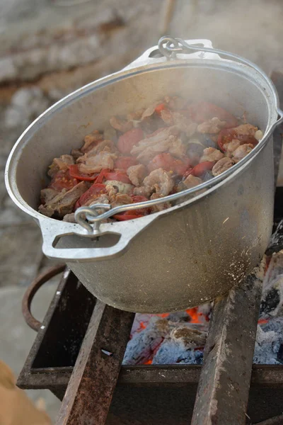 Espetos Carne Peixe Caldeirão Uma Grelha Cozinha Ecológica — Fotografia de Stock