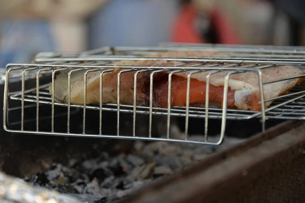 Fleisch Und Fischspieße Kessel Oder Auf Dem Grill — Stockfoto