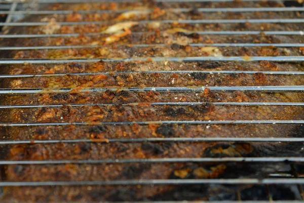 Espetos Carne Peixe Caldeirão Uma Grelha Cozinha Ecológica — Fotografia de Stock