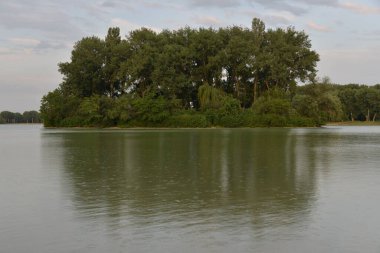 Gün batımında güzel bir göl, güneş ışınları suyu boyuyor ve küçük dalgalar altın, kırmızı, turuncu