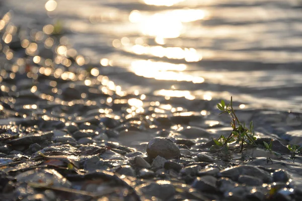 Hermoso Lago Atardecer Los Rayos Del Sol Pintan Agua Las —  Fotos de Stock