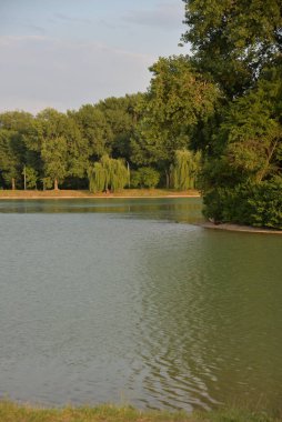 Gün batımında güzel bir göl, güneş ışınları suyu boyuyor ve küçük dalgalar altın, kırmızı, turuncu 