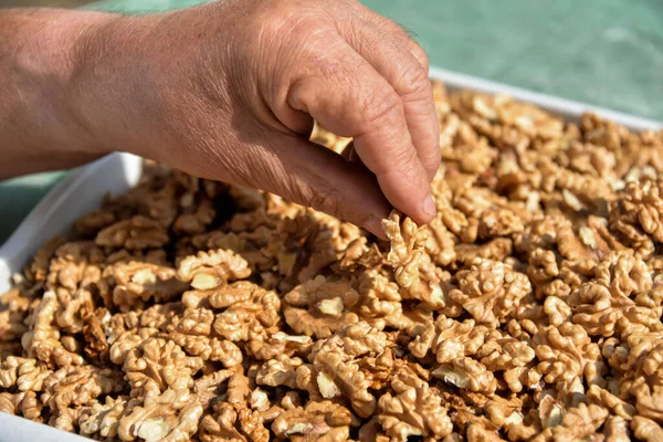 Grandpa on the street cleans the nuts. On the table are trays of peeled nuts, with shells, and whole nuts. Lesson on self-isolation cleaning nuts.