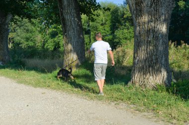 Adamın biri köpeği parkta gezdirir, onunla oynar, sopalarını fırlatır..