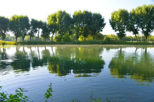 Parque Verano Calor Puede Nadar Lago Caminar Admirar Agua Naturaleza —  Fotos de Stock