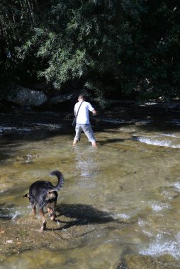 Sonbaharda sıcak bir günde köpekli bir adam nehir boyunca yürür.