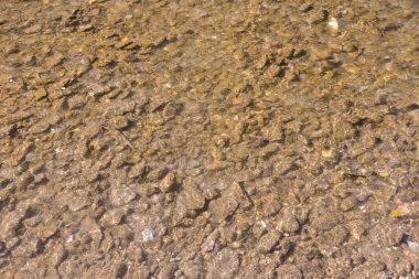 Su nehir boyunca akar ve sonbahar öğleden sonra güneşin altında parlar.