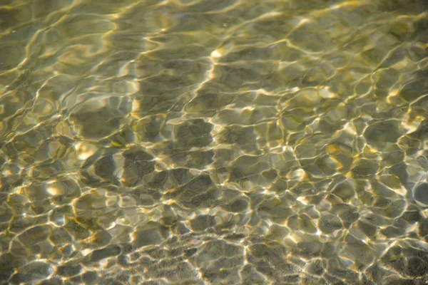Вода Течет Вдоль Реки Скользит Солнце Осенний Полдень Лицензионные Стоковые Изображения