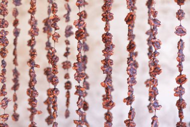 Fındıklar, Kafkas tatlılığını hazırlamak için ipliğe asılmış. İpte ceviz. Kilise kilisesi. Ceviz sujuk.